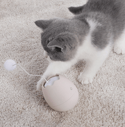 Playful Paws Interactive Cat Toy