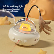 Cat Teasers Include A Variety Of Interactive Toys For Dogs - Ideal For