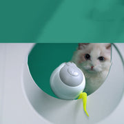 Glowing Auto Playful Kitty Spinning Orb