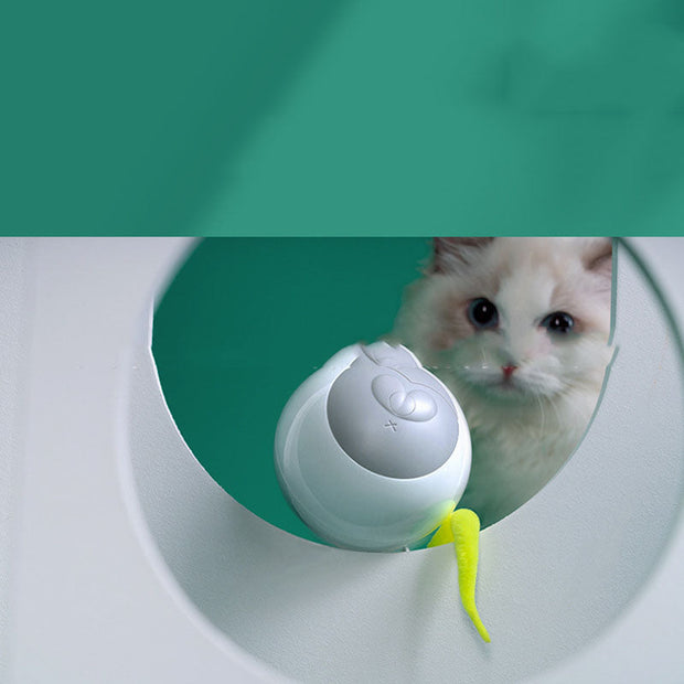 Glowing Auto Playful Kitty Spinning Orb