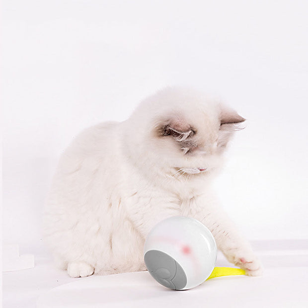 Glowing Auto Playful Kitty Spinning Orb