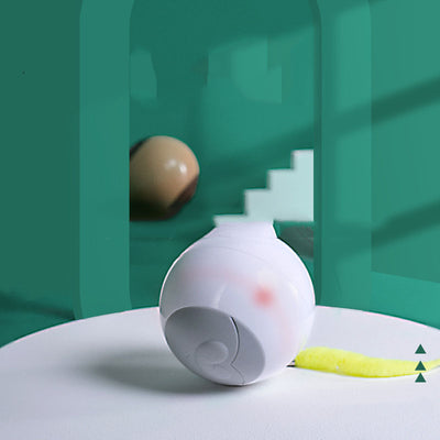 Glowing Auto Playful Kitty Spinning Orb