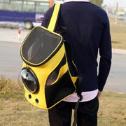 Adventure Paws Portable Pet Carrier: The Stylish Solution For